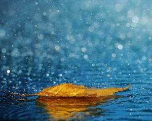 Living Water Solar Company